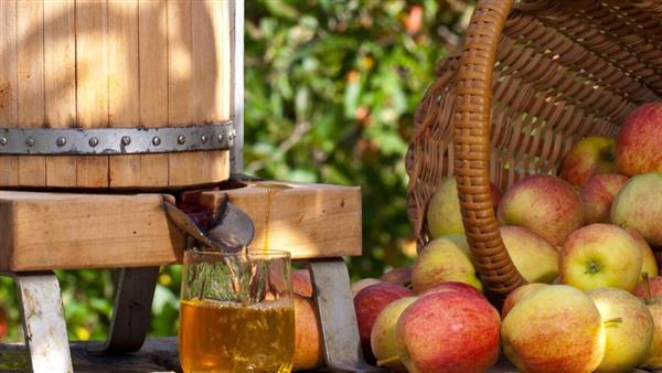 Apple and Pear Ciders